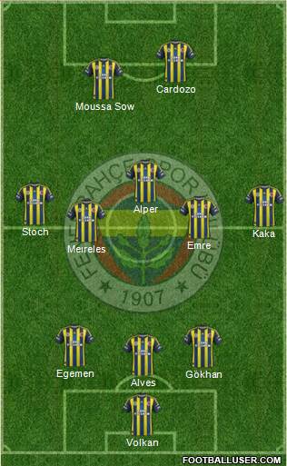 Fenerbahçe SK Formation 2013