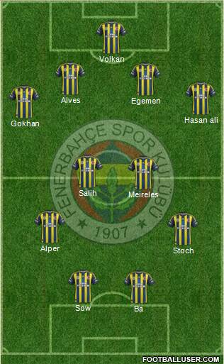 Fenerbahçe SK Formation 2013