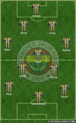 Fenerbahçe SK Formation 2013