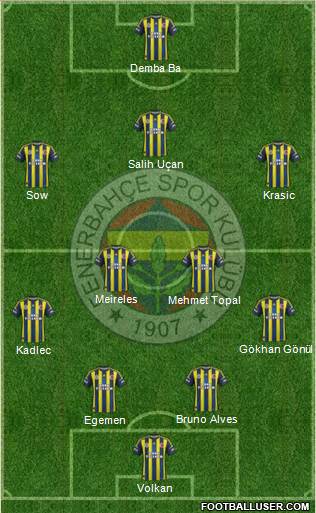 Fenerbahçe SK Formation 2013