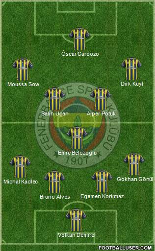 Fenerbahçe SK Formation 2013