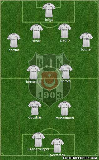 Besiktas JK Formation 2013