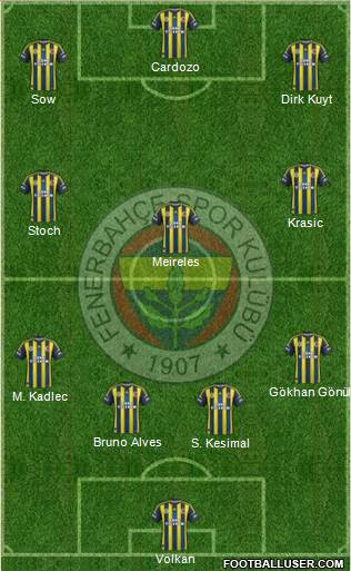 Fenerbahçe SK Formation 2013