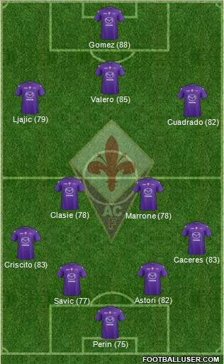 Fiorentina Formation 2013