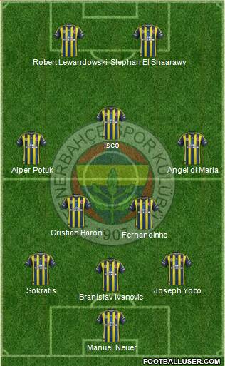 Fenerbahçe SK Formation 2013