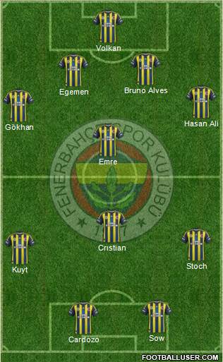 Fenerbahçe SK Formation 2013