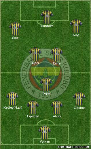 Fenerbahçe SK Formation 2013
