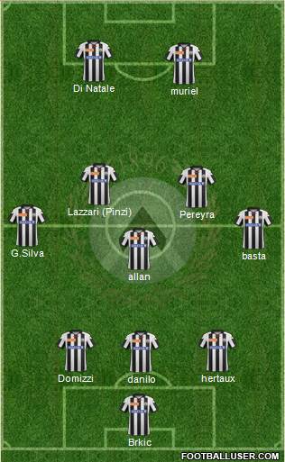 Udinese Formation 2013