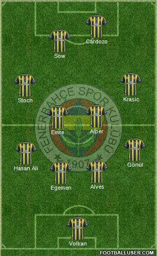 Fenerbahçe SK Formation 2013