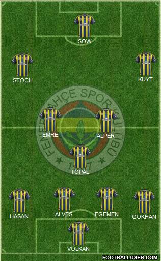 Fenerbahçe SK Formation 2013