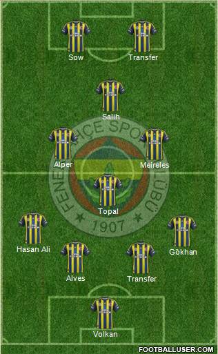 Fenerbahçe SK Formation 2013