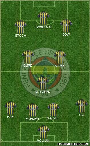 Fenerbahçe SK Formation 2013