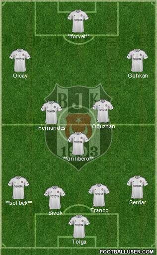 Besiktas JK Formation 2013