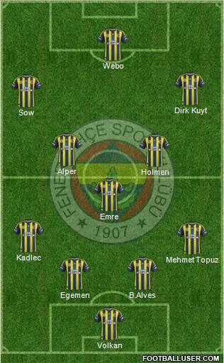 Fenerbahçe SK Formation 2013