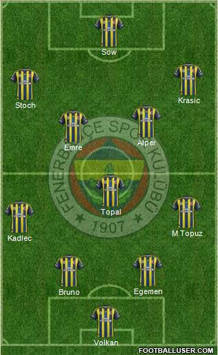 Fenerbahçe SK Formation 2013