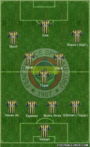 Fenerbahçe SK Formation 2013
