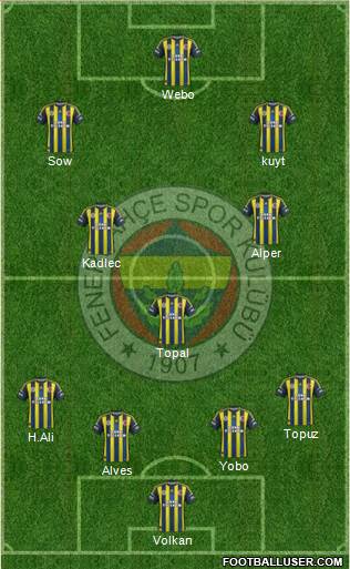 Fenerbahçe SK Formation 2013