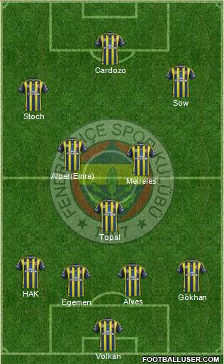 Fenerbahçe SK Formation 2013