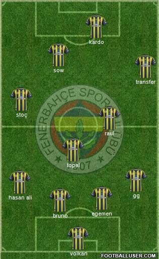 Fenerbahçe SK Formation 2013