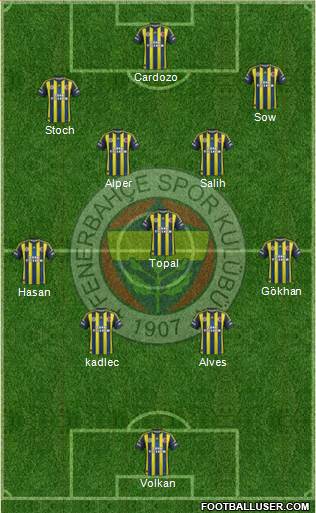Fenerbahçe SK Formation 2013