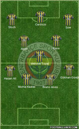 Fenerbahçe SK Formation 2013