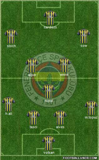 Fenerbahçe SK Formation 2013