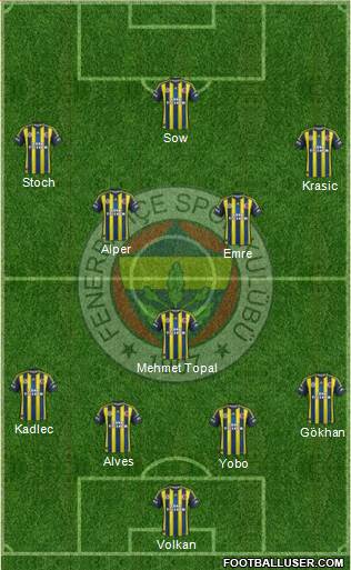 Fenerbahçe SK Formation 2013