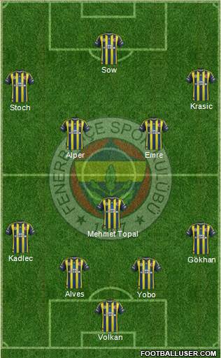 Fenerbahçe SK Formation 2013