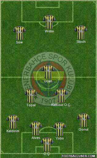 Fenerbahçe SK Formation 2013