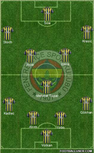 Fenerbahçe SK Formation 2013