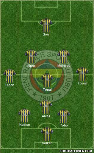 Fenerbahçe SK Formation 2013