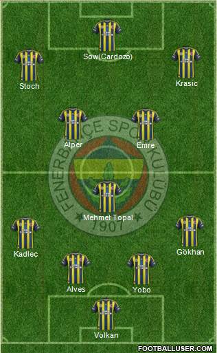 Fenerbahçe SK Formation 2013
