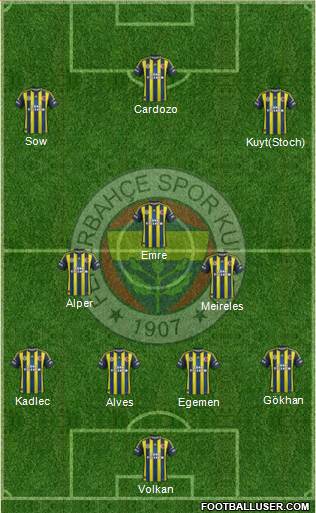 Fenerbahçe SK Formation 2013