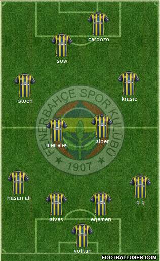 Fenerbahçe SK Formation 2013