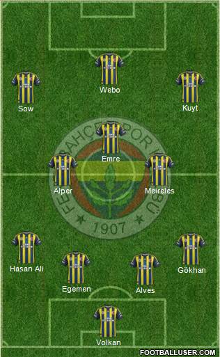 Fenerbahçe SK Formation 2013