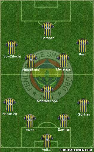 Fenerbahçe SK Formation 2013