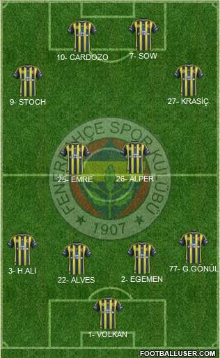 Fenerbahçe SK Formation 2013