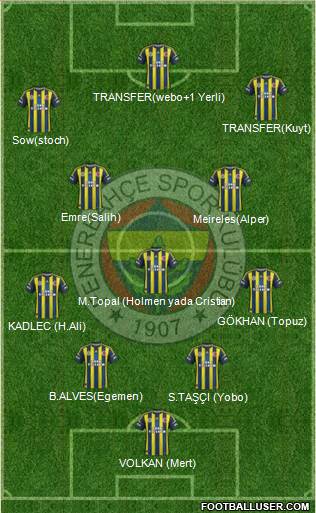 Fenerbahçe SK Formation 2013