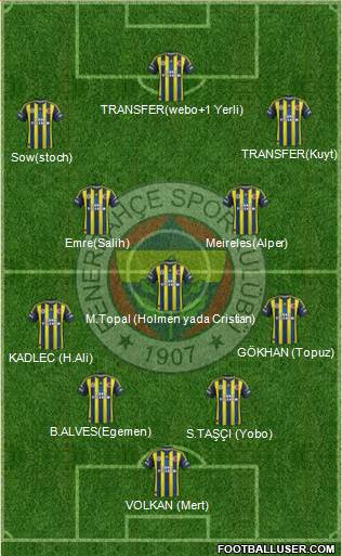 Fenerbahçe SK Formation 2013