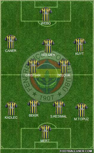 Fenerbahçe SK Formation 2013