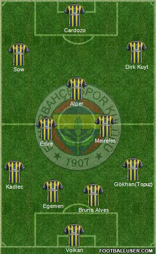 Fenerbahçe SK Formation 2013