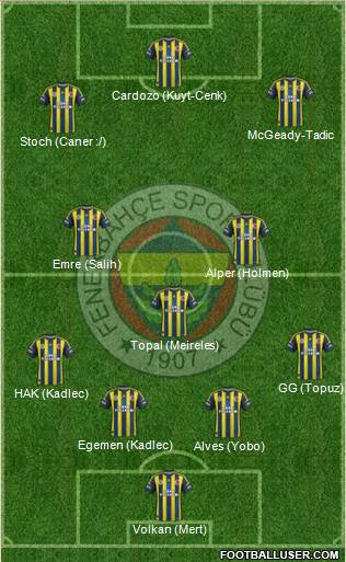 Fenerbahçe SK Formation 2013