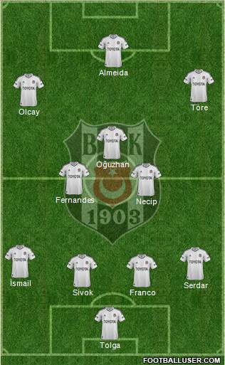 Besiktas JK Formation 2013