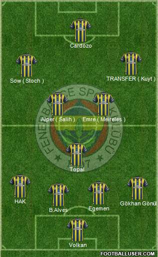 Fenerbahçe SK Formation 2013