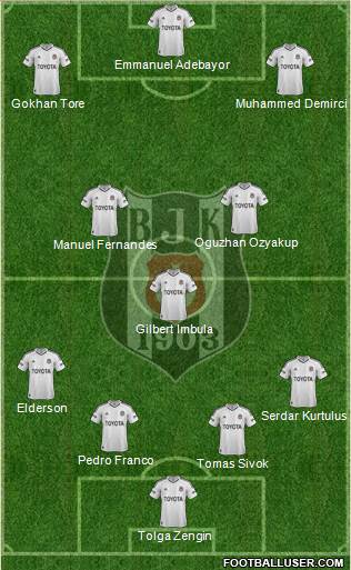 Besiktas JK Formation 2013