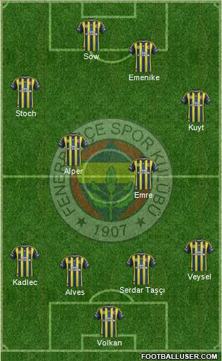 Fenerbahçe SK Formation 2013