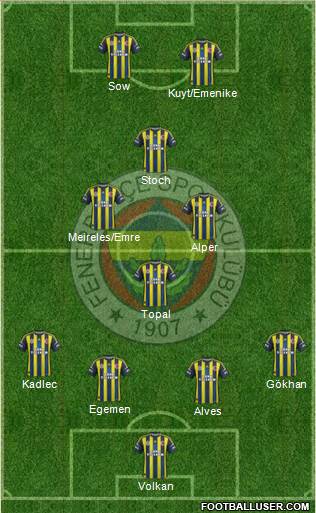 Fenerbahçe SK Formation 2013