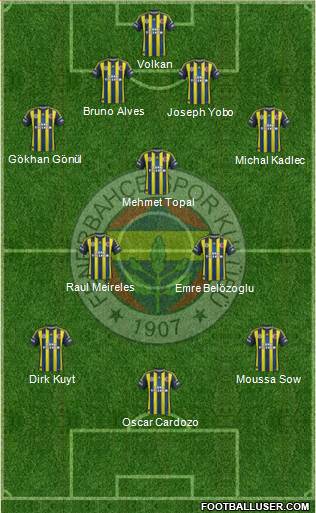 Fenerbahçe SK Formation 2013
