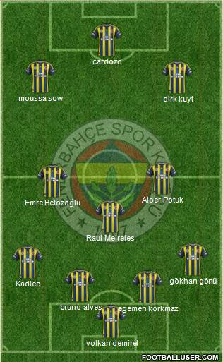 Fenerbahçe SK Formation 2013