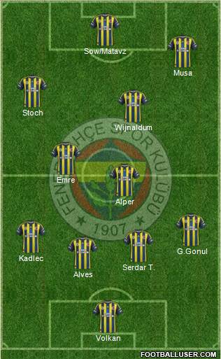 Fenerbahçe SK Formation 2013